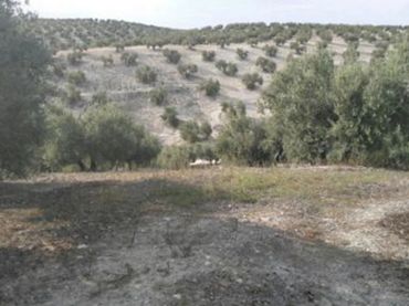 Terreno rustico in vendita a Fuerte del Rey