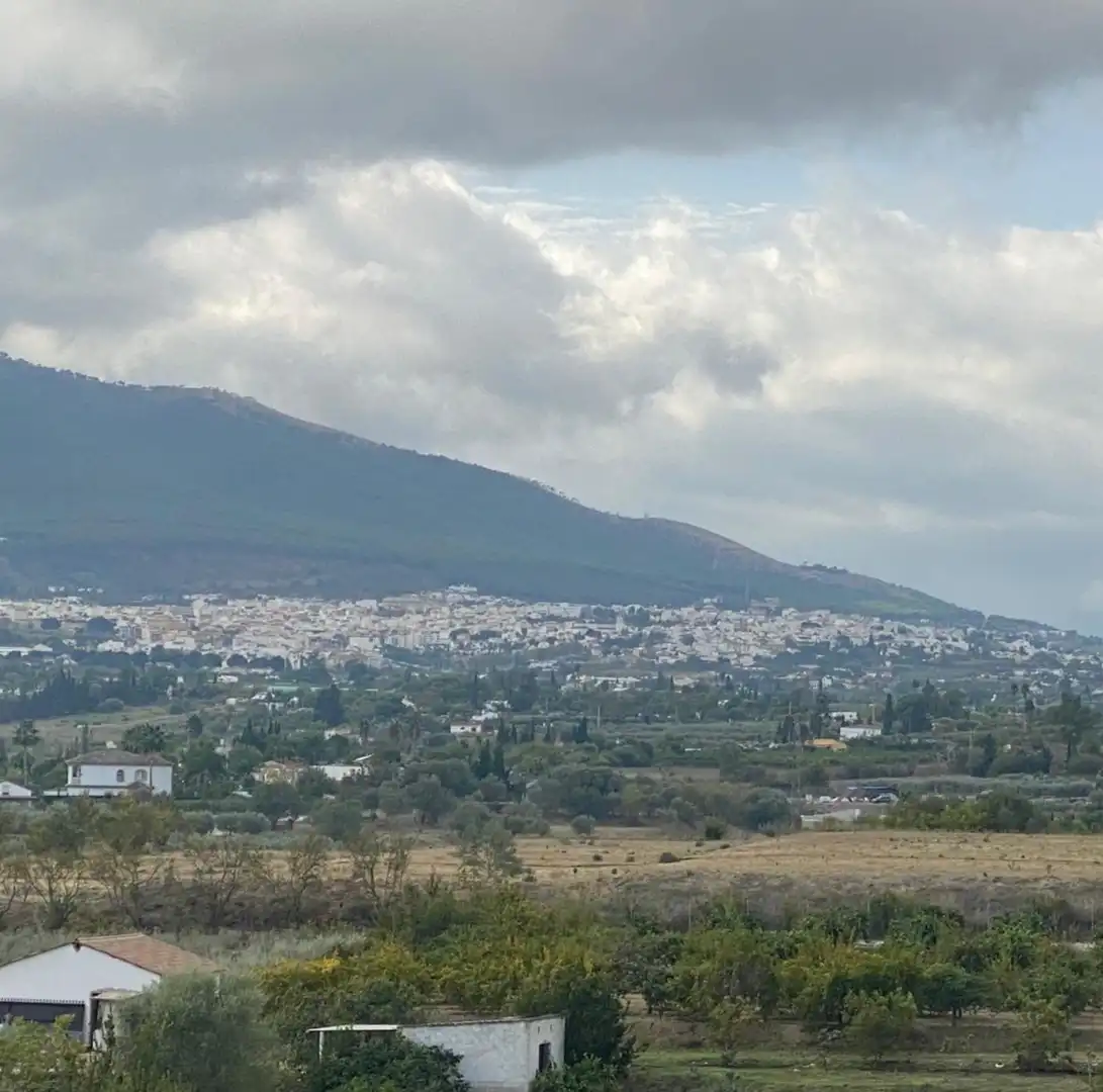 Vista exterior de Terreno en venta en Cártama