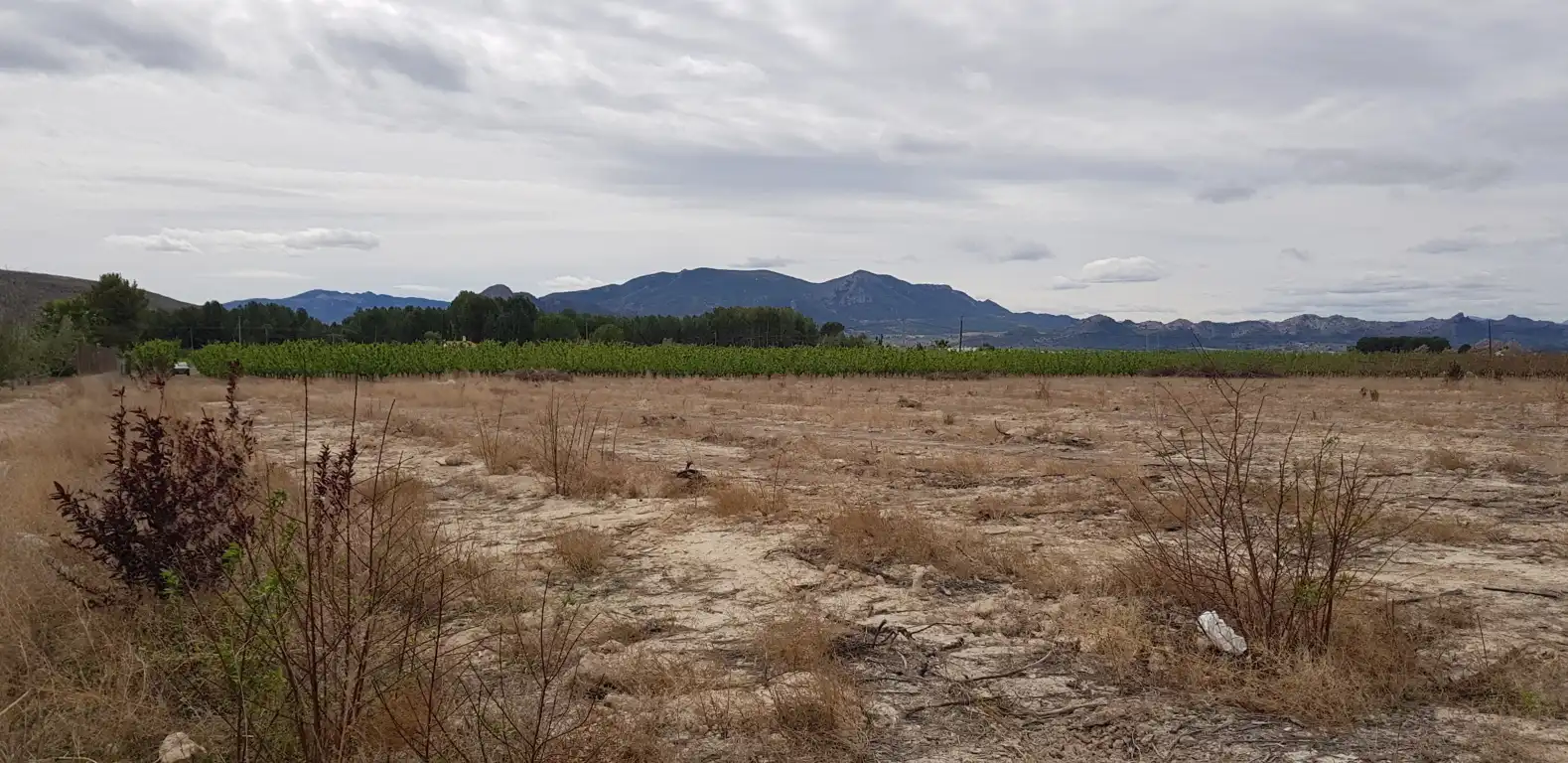 Rustikales Grundstück zum Verkauf in Cieza, imagen 6
