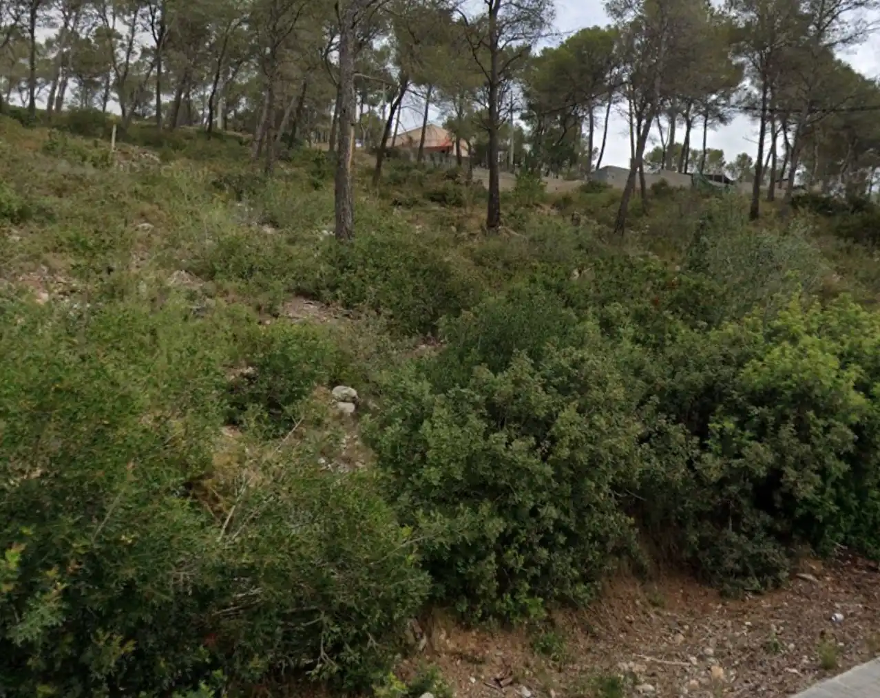 Terreny residencial en venda a Olivella, imagen 6