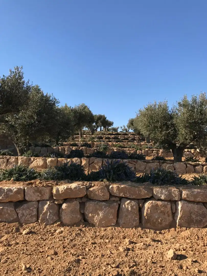 Garden of Residential for sale in Alcañiz