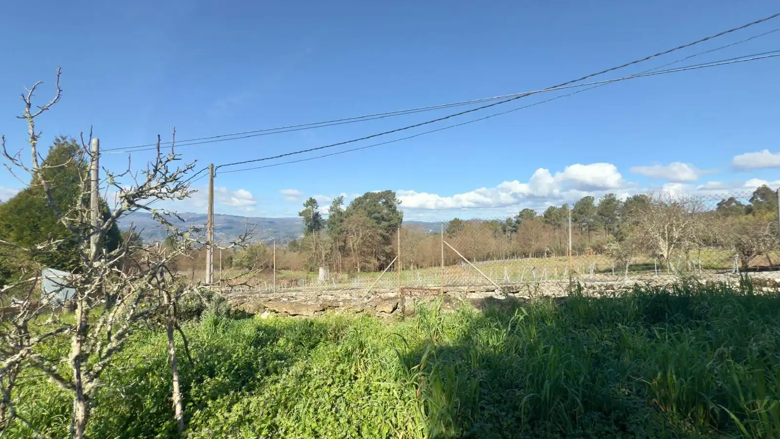 Finca rústica en venta en Cenlle con Jardín privado, Terraza y Trastero