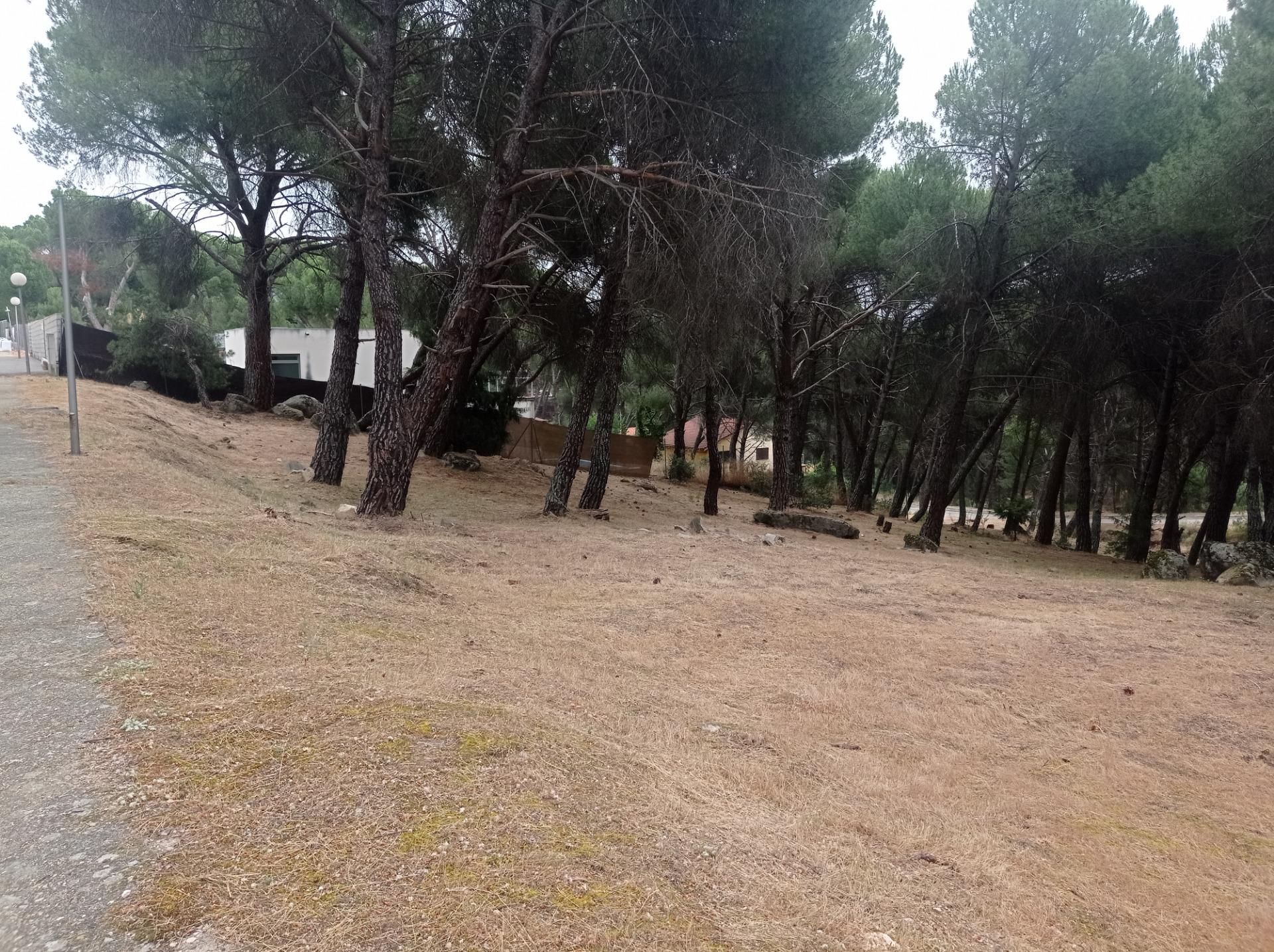 Residencial en venta en San Martín de Valdeiglesias