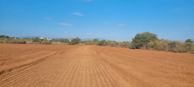 Terreno en Venta en Carrer Can Pastilla, 60E en Can Pastilla