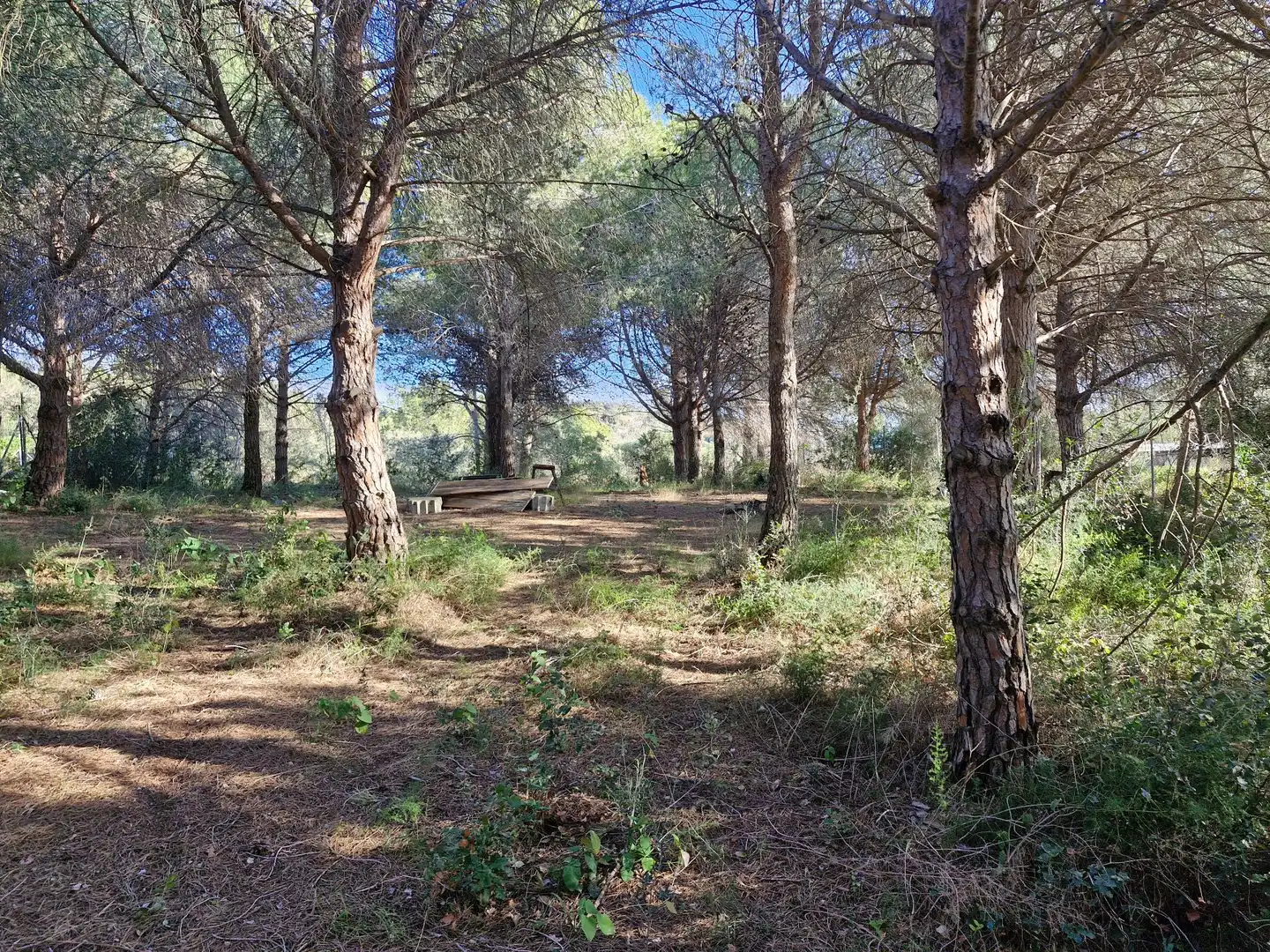 Residential for sale in L'Albiol