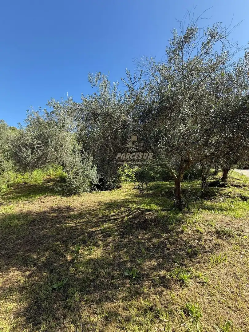 Maison à vendre à Almodóvar del Río, imagen 9