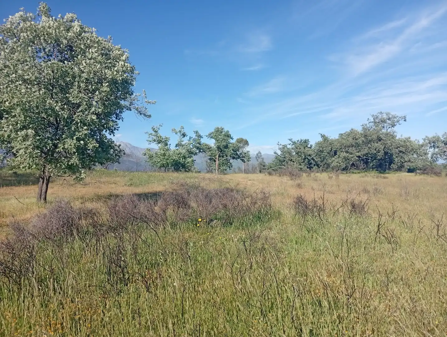Terreni e lotti in vendita a Villanueva de la Vera, imagen 75