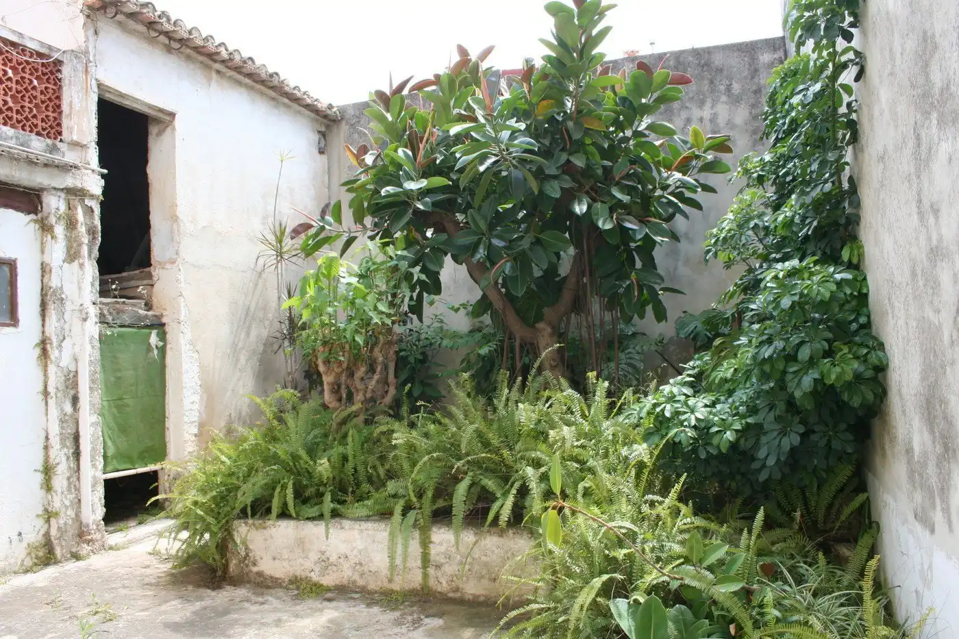 House with garden for sale in Pedreguer, imagen 4