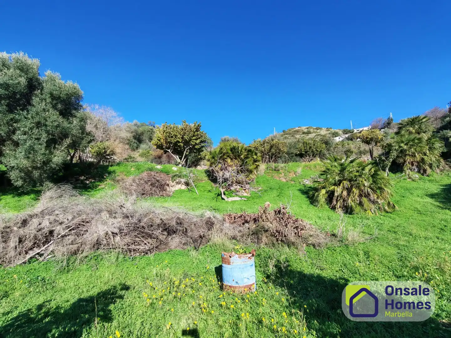 Terreno en venta en Ojén