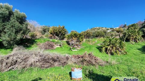 Foto 5 de Terreno en venta en A-355, Palo Alto, Ojén