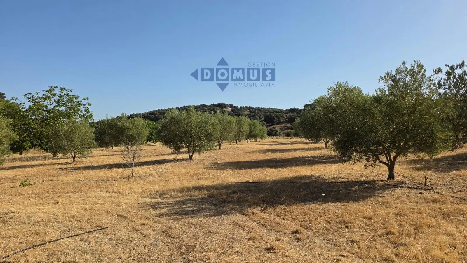 Terreno en venta en Camino Cartajima, carretera de san pedro, Partidas Sur