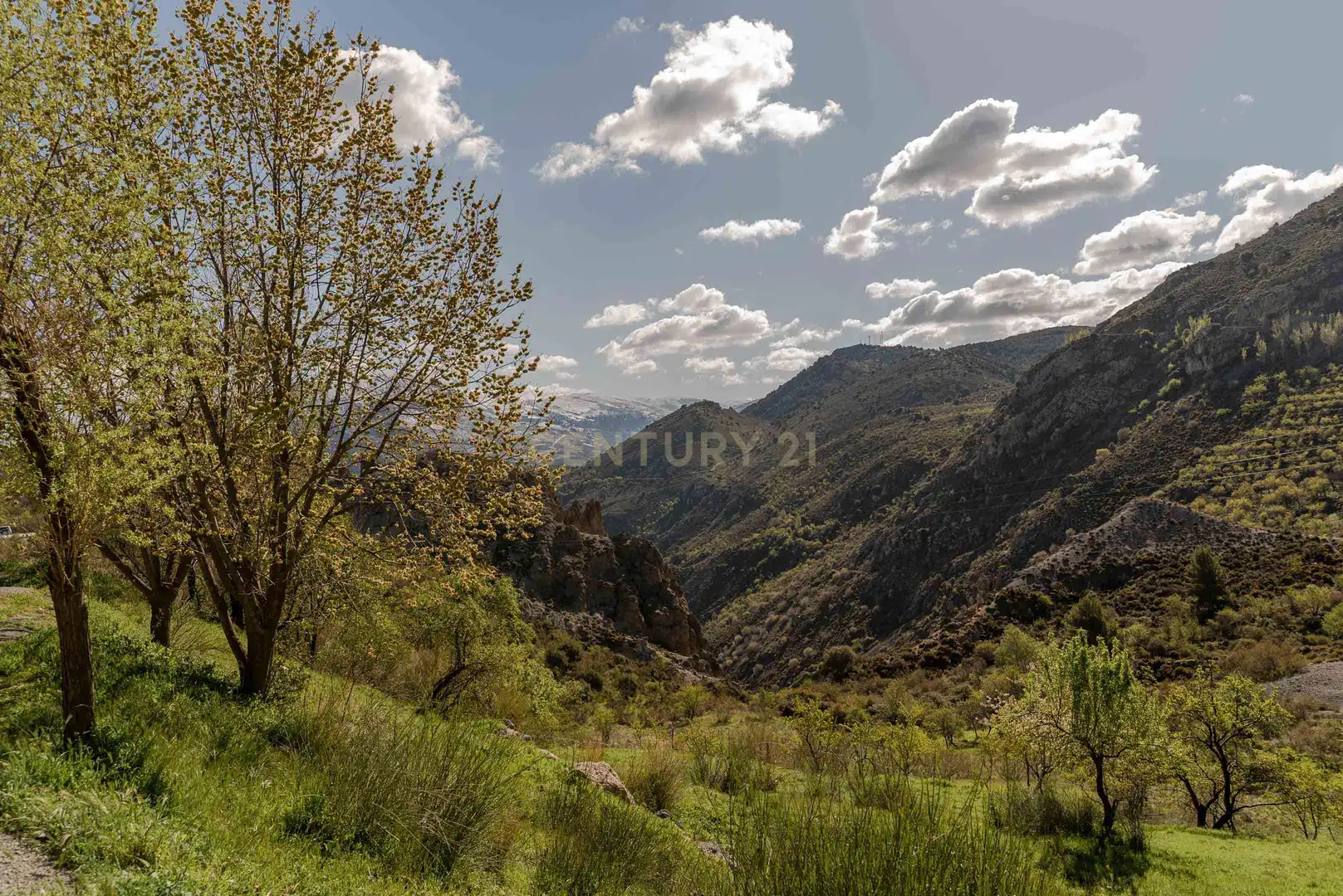 Inmuebles singulares en venta en CARRETERA SIERRA NEVADA 16, imagen 65