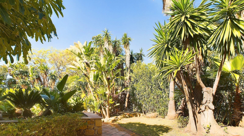 Foto 4 de Casa o chalet en venta en Ricardo Soriano, Málaga