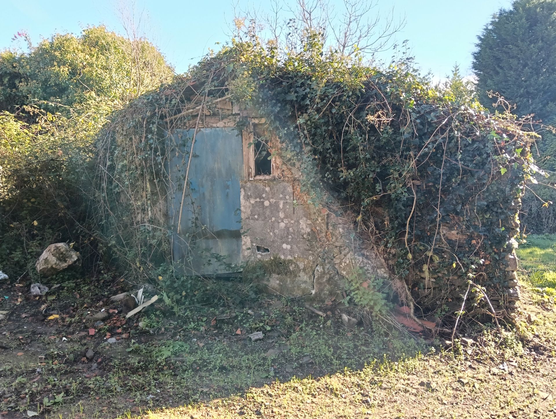 Vista exterior de Casa o xalet en venda en Cesuras