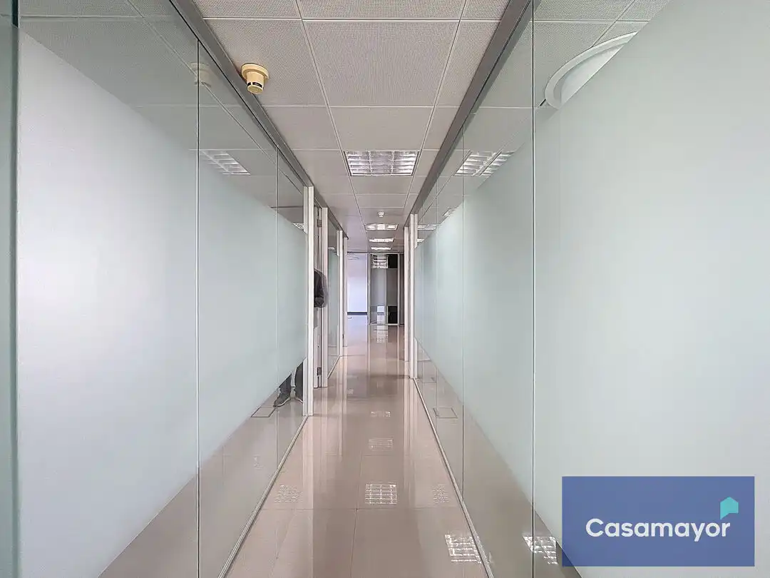 Office for rent in Alicante / Alacant