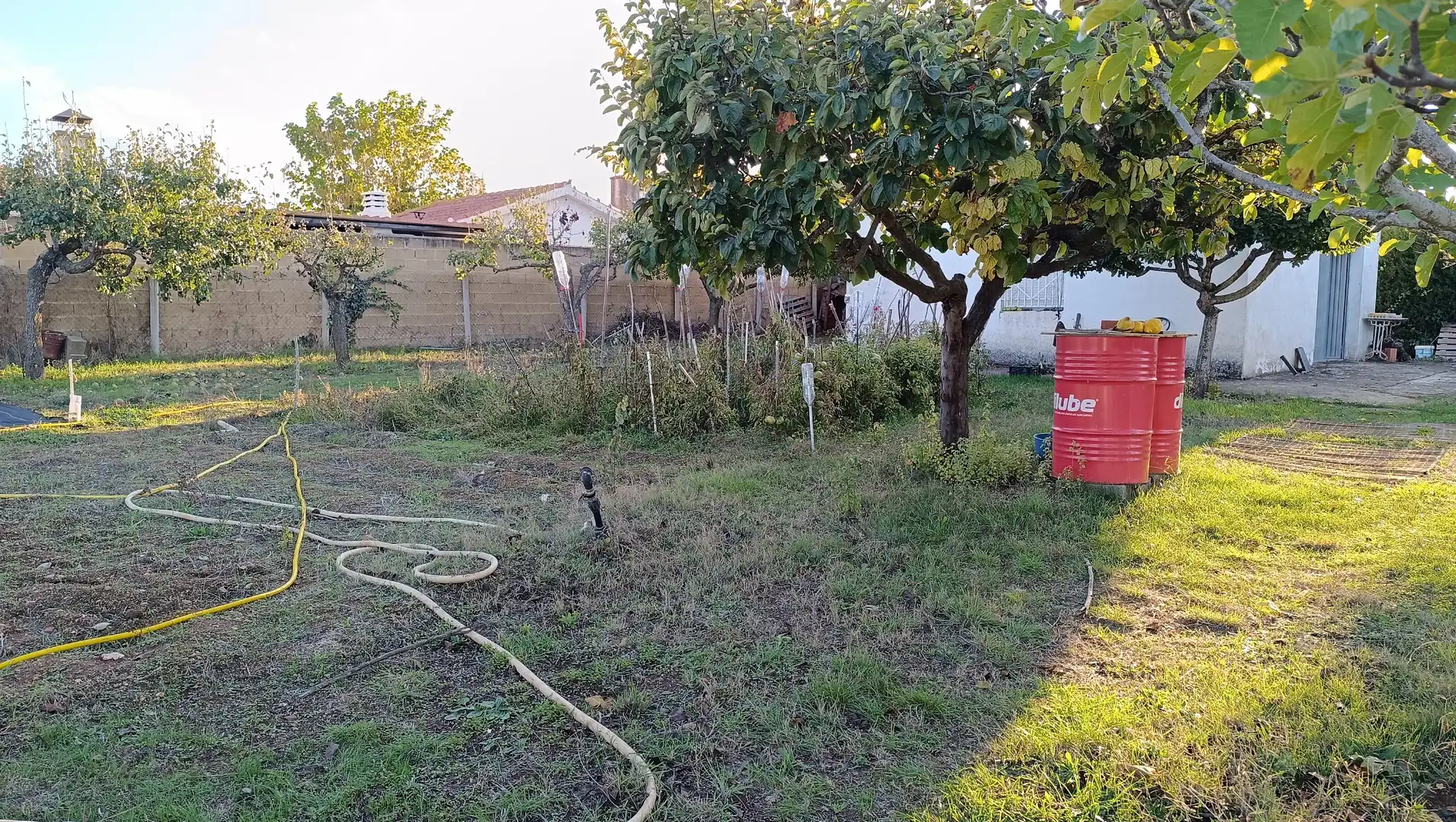 Terreno rustico in vendita a Castellanos de Villiquera, imagen 10