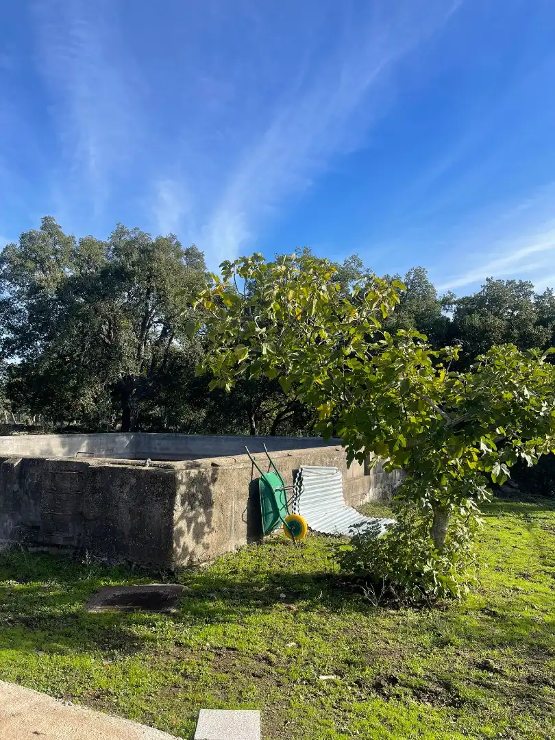 Jardín de Casa o chalet en venta en Plasencia con Jardín privado y Amueblado