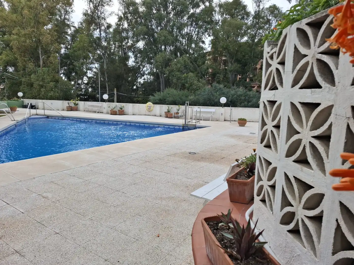 Piso con piscina en venta en Calle Orquídea 5, imagen 3