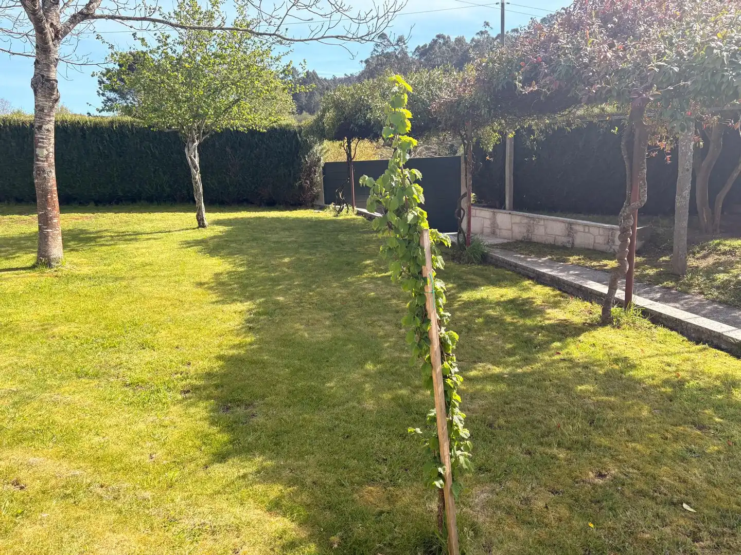 Jardín de Casa o chalet en venta en Santiago de Compostela  con Calefacción, Jardín privado y Terraza