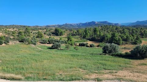 Foto 4 von Grundstücke zum Verkauf in Valderrobres, Teruel