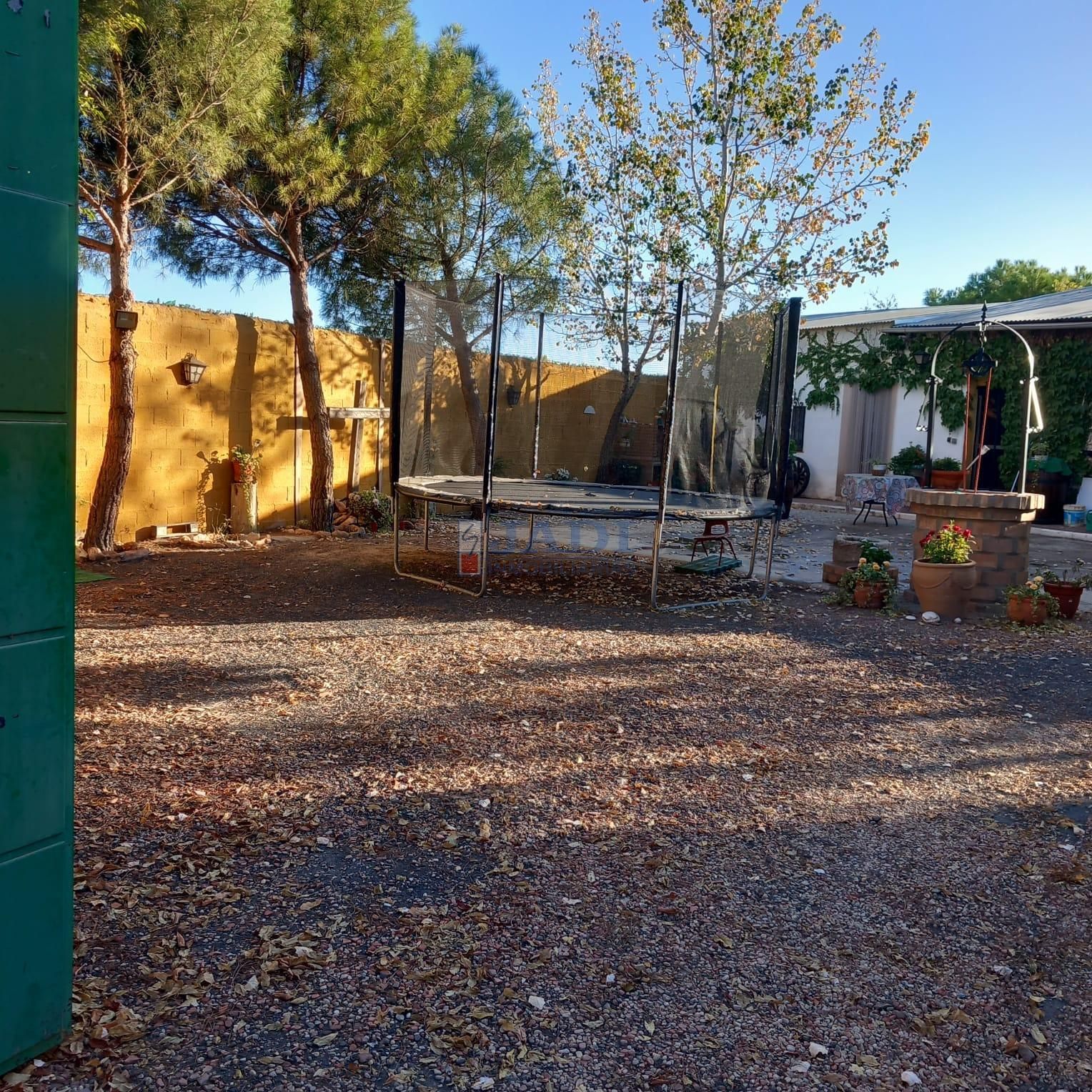 Garden of Country house for sale in Torrenueva