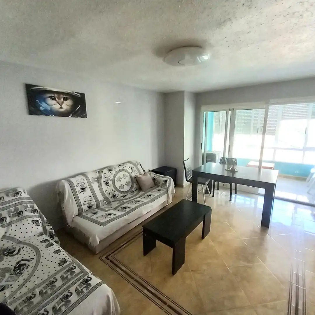 Sala d'estar de Apartament en venda en Alicante / Alacant amb Terrassa, Moblat i Balcó