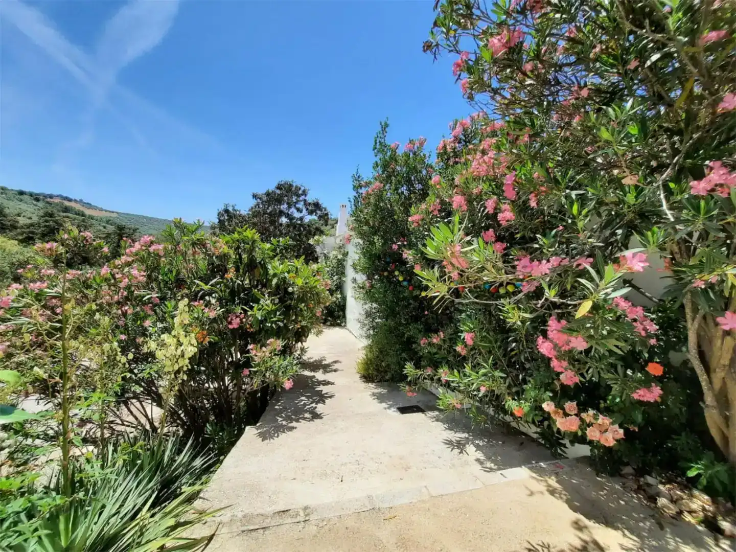 Jardí de Finca rústica en venda en Iznájar amb Aire condicionat, Piscina i Balcó