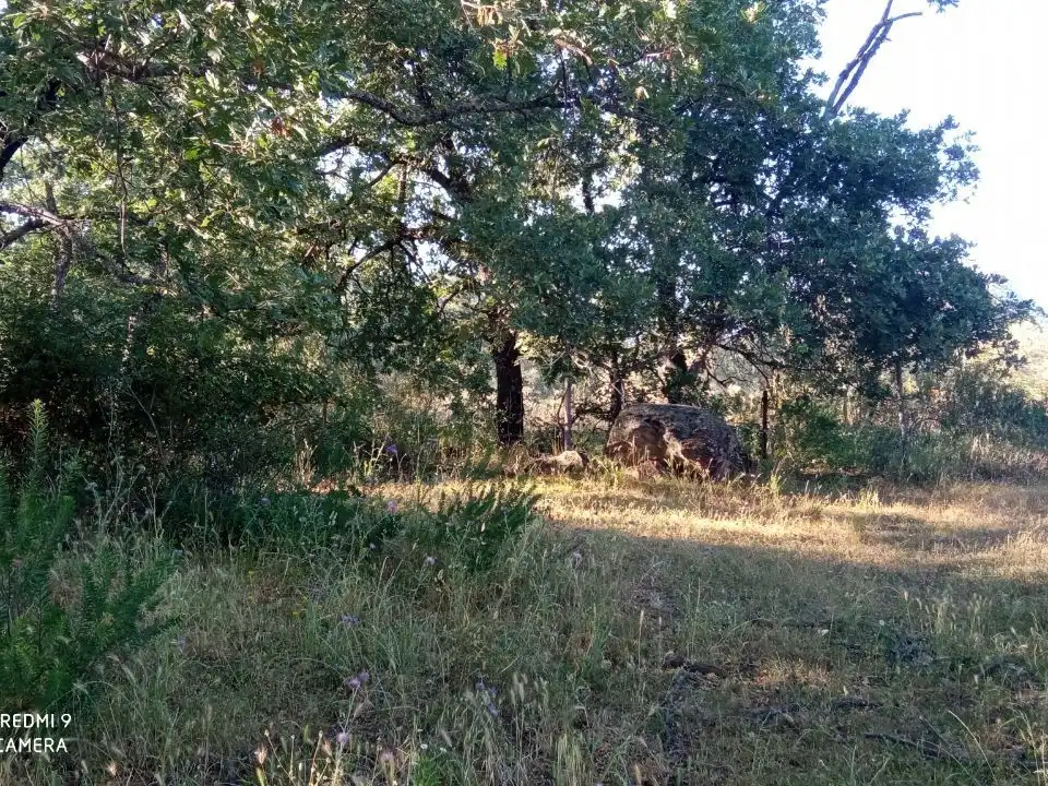 Terreno en venta en Robledillo de la Vera