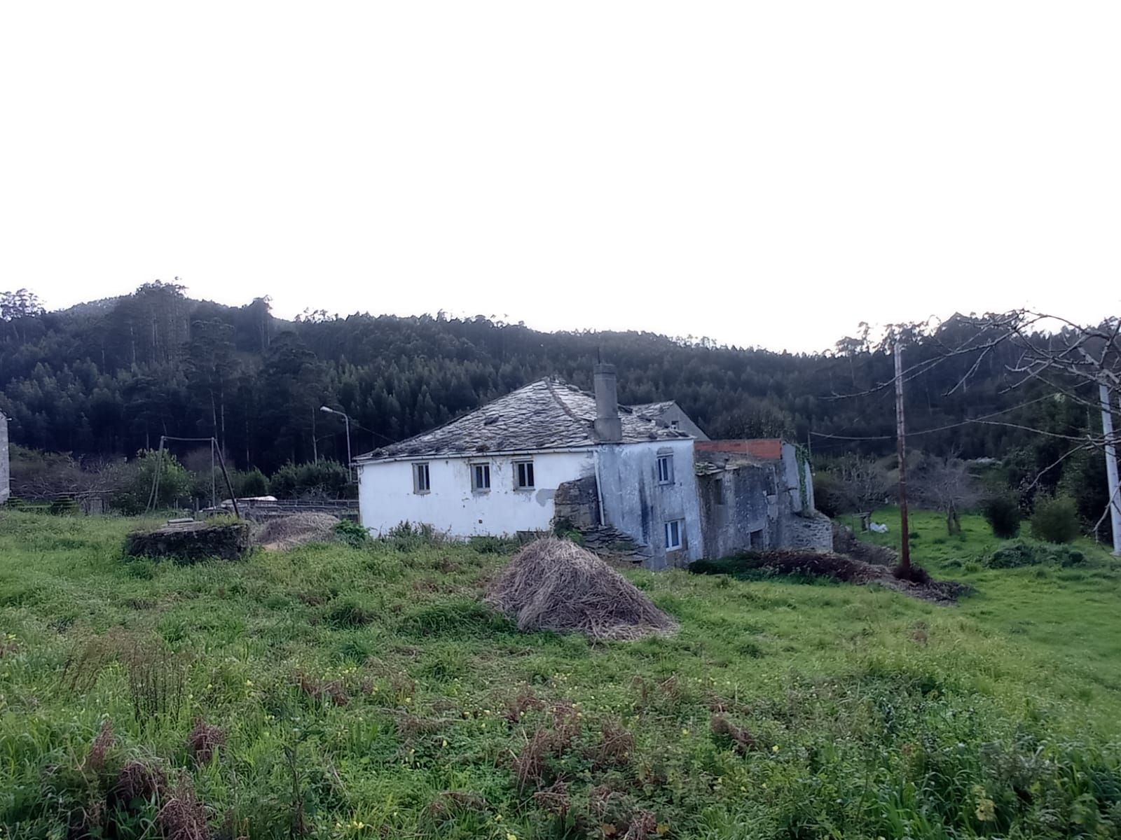 Exterior view of House or chalet for sale in O Vicedo   with Private garden