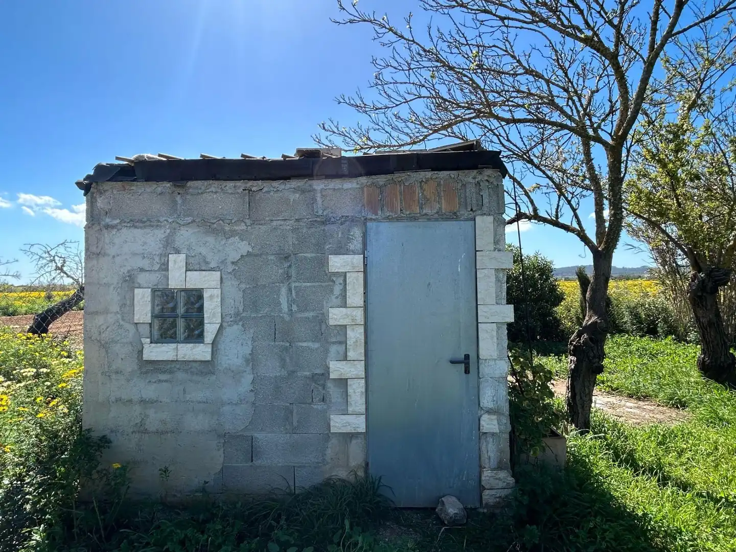 Terreno rústico en venta en Porreres, imagen 8
