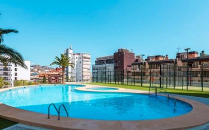 Swimming pool of Flat to rent in Benidorm  with Air Conditioner, Terrace and Swimming Pool