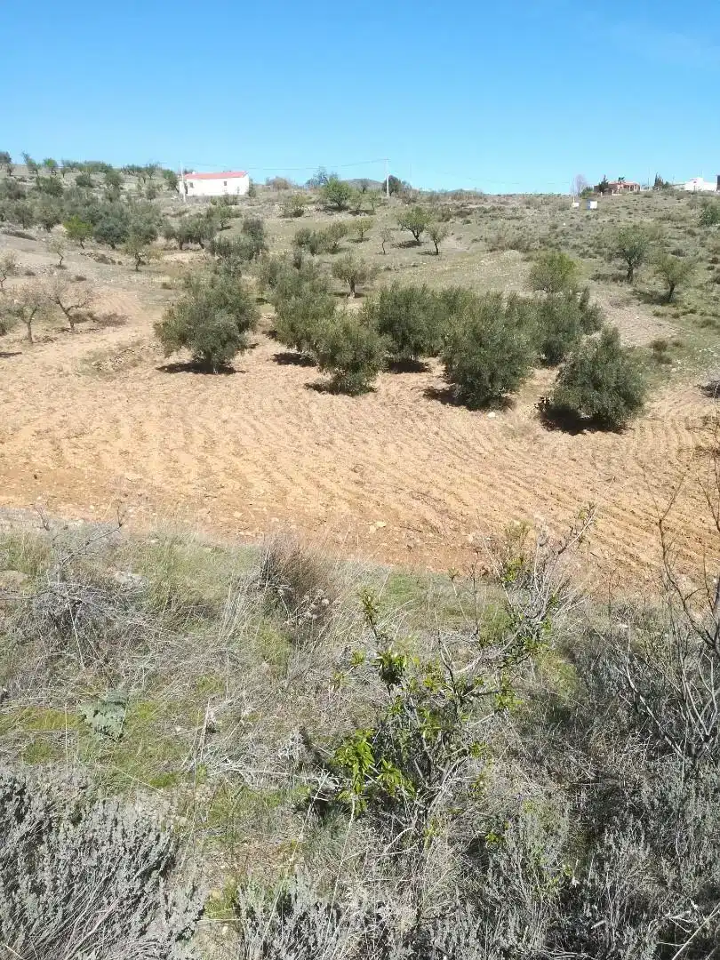 Terreno en venta en Tahal