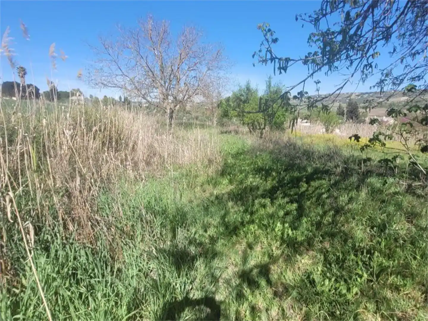 Finca rústica en venda en Ronda amb Piscina