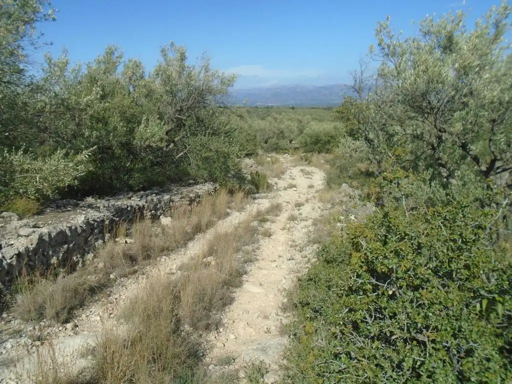 Residential land for sale in Vall D'En Pasto, imagen 3