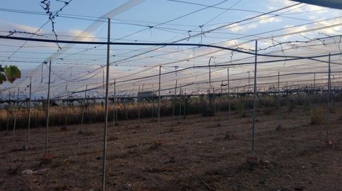Foto 3 de Terreny en venda a Camino Monroy , Pedanías Norte, Utrera