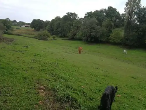 Terrenys i solars en venda a Corvera de Asturias, imagen 8