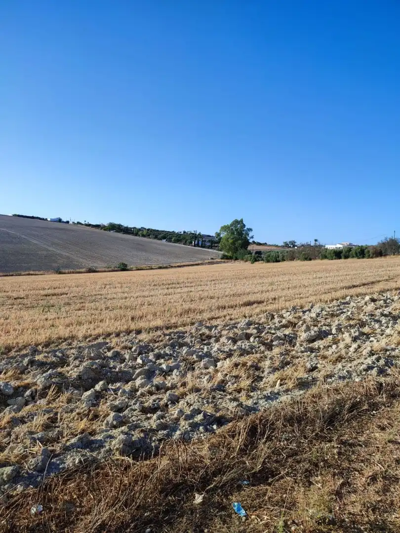 Terreno residencial en venta en Arcos de la Frontera, imagen 21