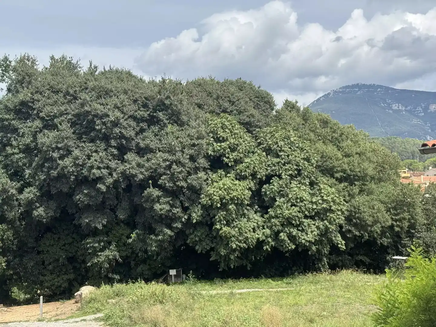 Casa pareada en venta en Besalú, imagen 11