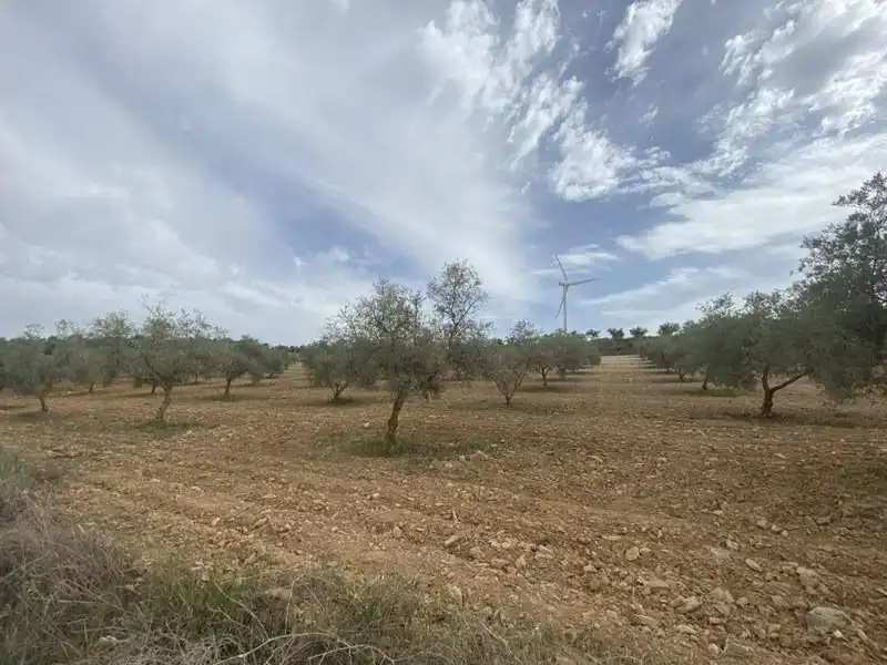 Casa rústica en venda a Padul, imagen 31