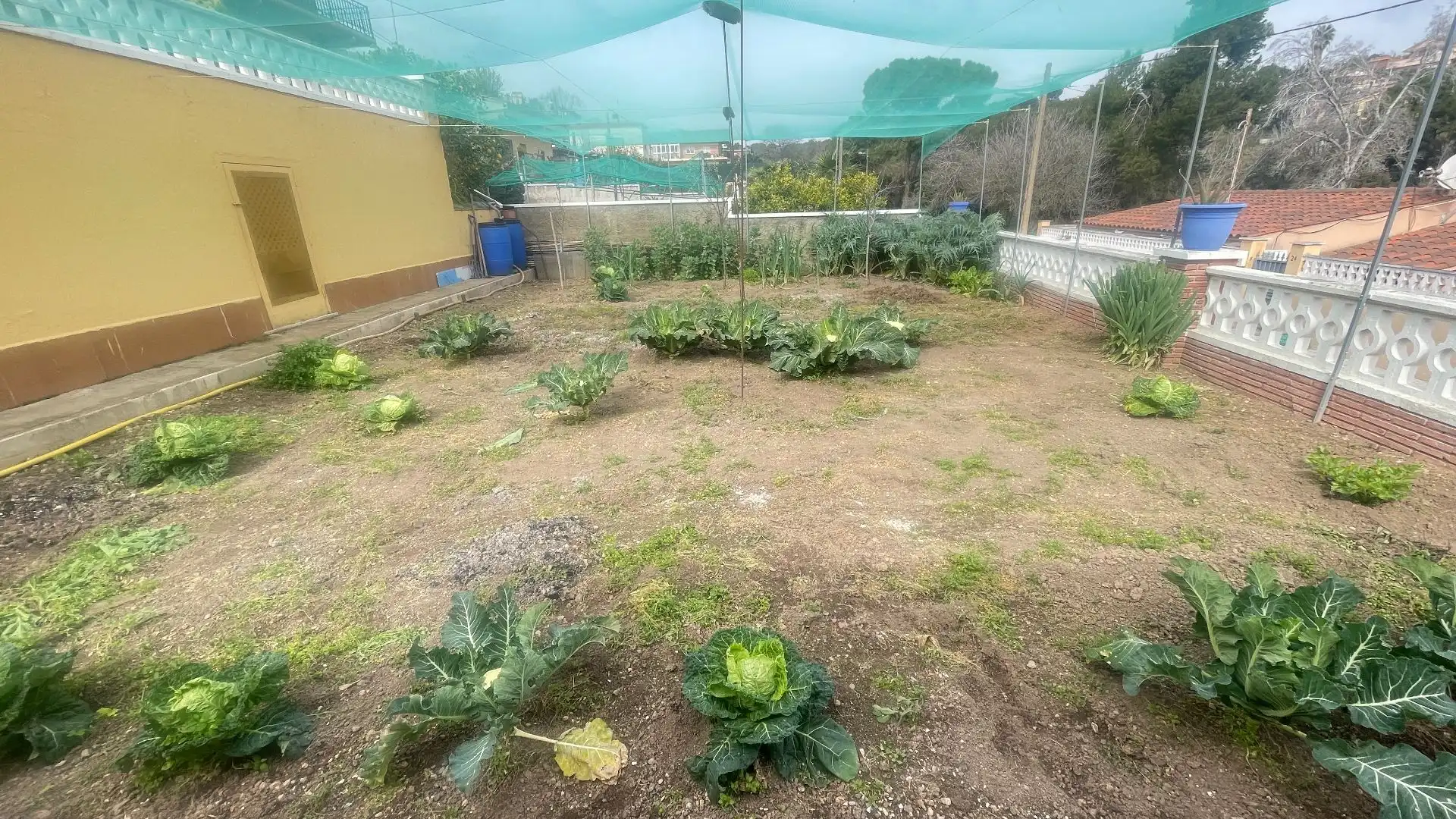 Jardí de Casa o xalet en venda en Rubí amb Calefacció, Jardí privat i Terrassa