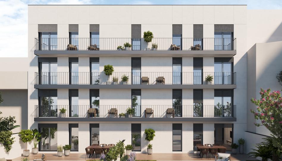 Foto 0 de Promoció PRESIDENT COMPANYS 22