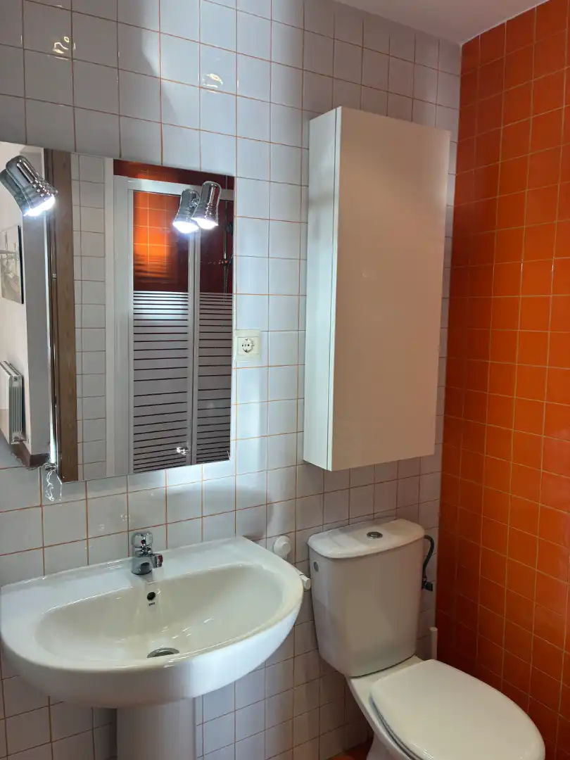 Flat with lift to rent in Avenida Europa - San Antón, imagen 9