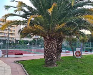 Vista exterior de Planta baixa en venda en Salou amb Aire condicionat, Calefacció i Jardí privat