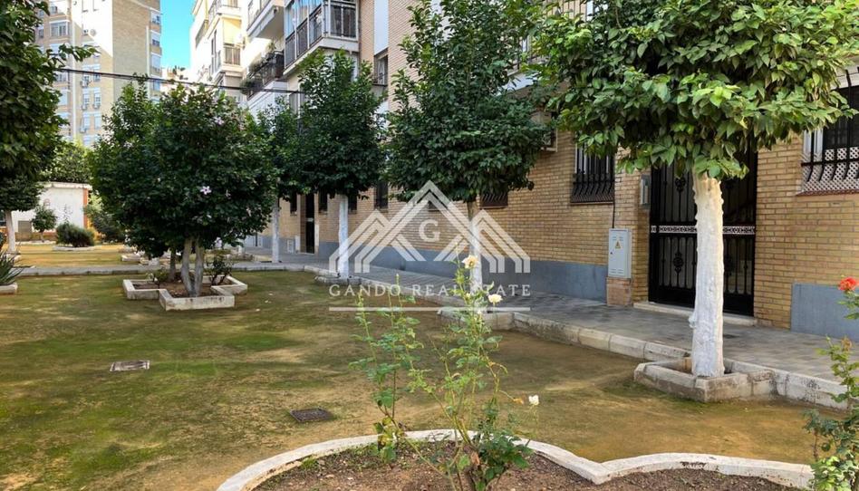 Photo 1 of Flat to rent in El Tardón - El Carmen, Sevilla