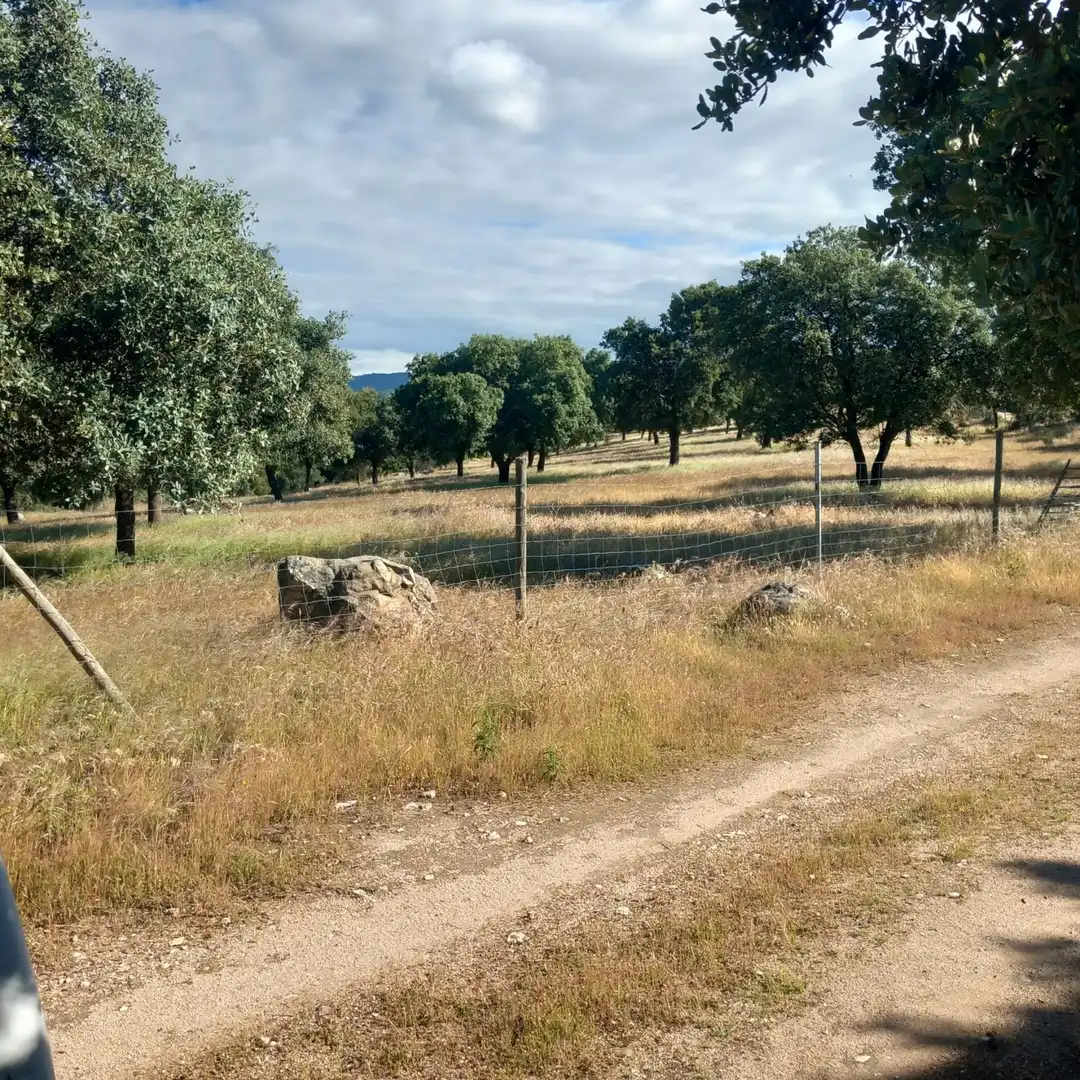 Terreni e lotti in vendita a El Álamo, imagen 11