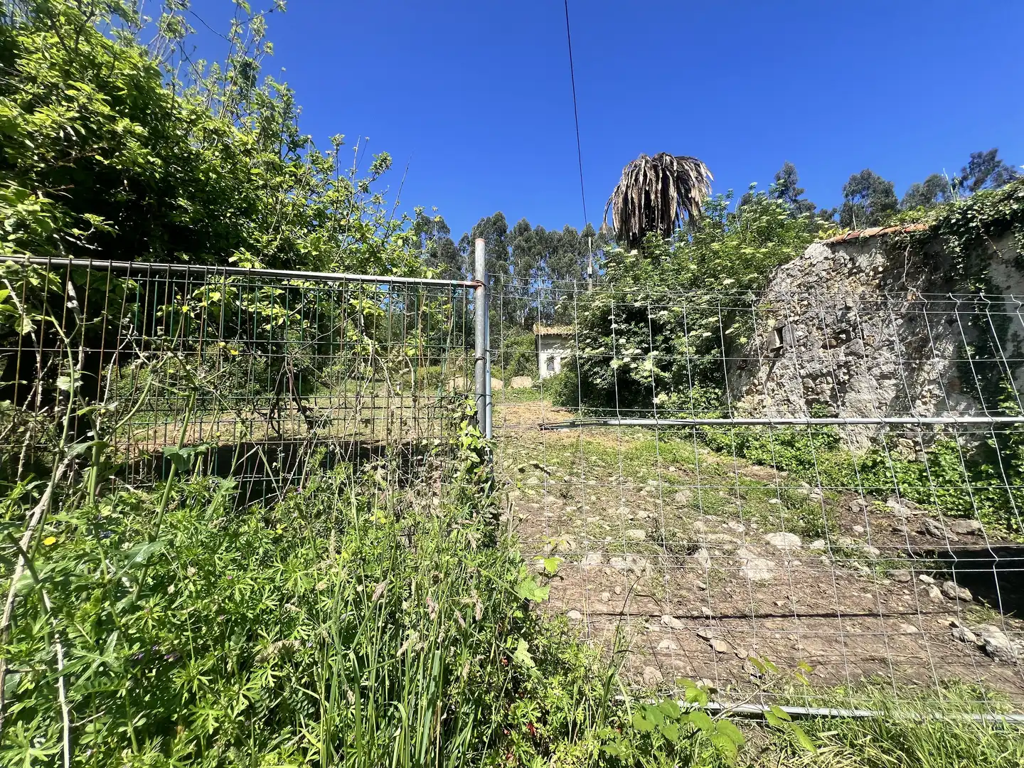 Detached homes for sale in Castrillón