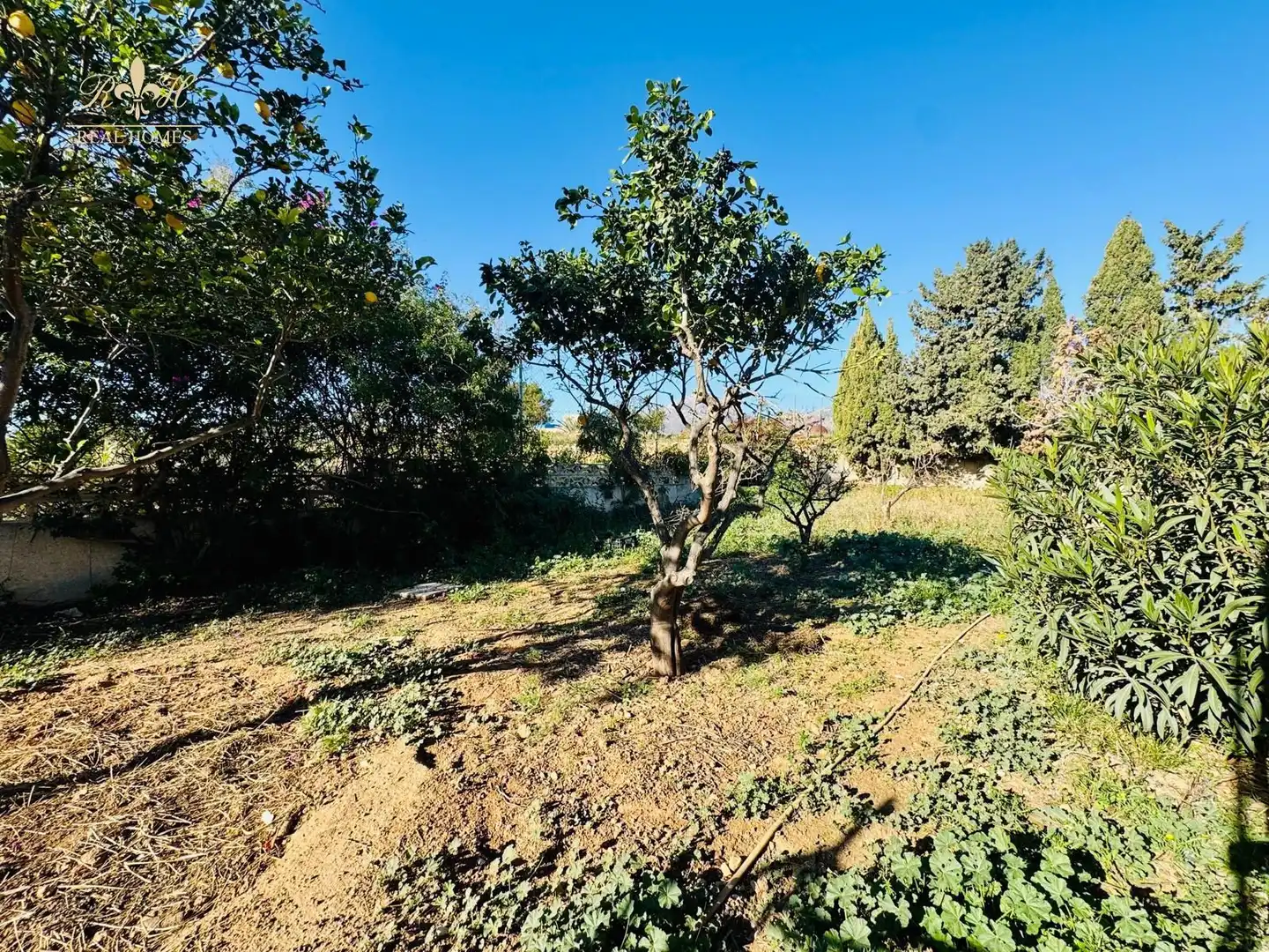 Casa o xalet en venda en L'Alfàs del Pi amb Terrassa i Piscina