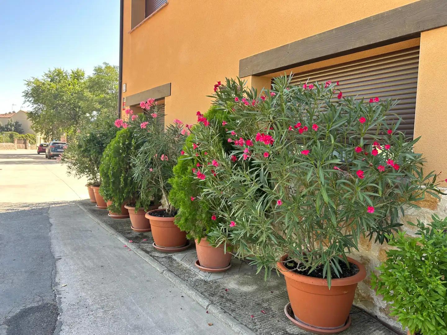 Terreni e lotti in vendita a Brieva, imagen 17