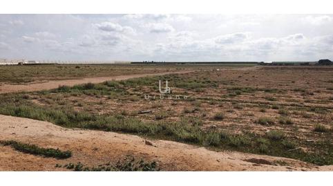 Photo 5 of Land for sale in Gea y Truyols , La Torre Golf, Torre-Pacheco