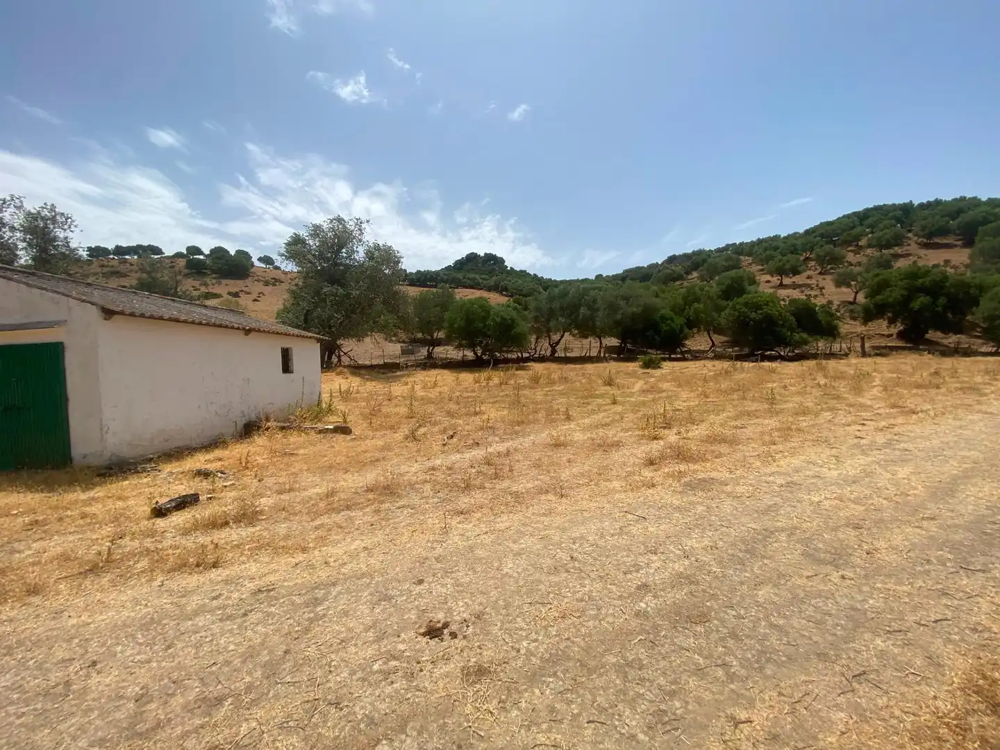 Terreni e lotti in vendita a Alcalá de los Gazules, imagen 41